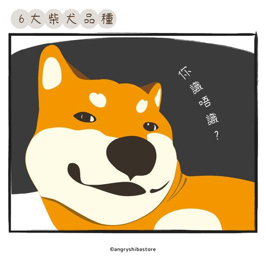 <<6大柴柴品種>> - 你識幾多款呢?