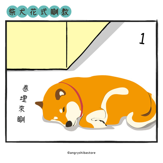柴犬花式瞓教~你主子用邊款?