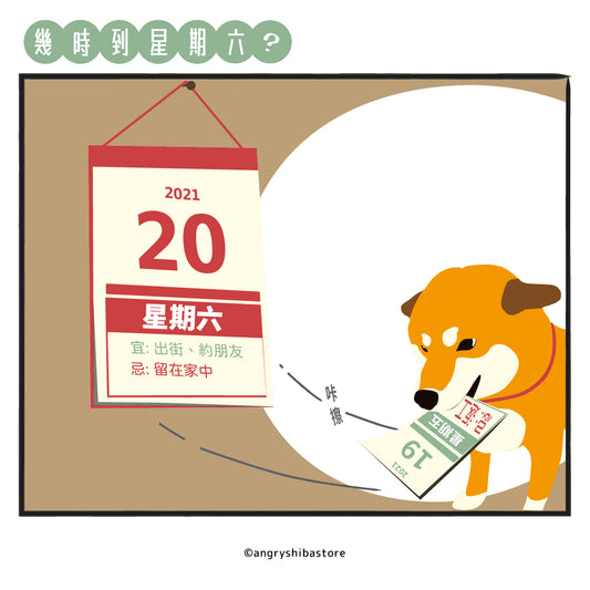 柴柴: 快D到星期六日帶我去玩啦!