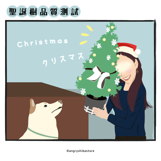 聖誕樹品質測試~